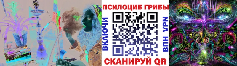 Галлюциногенные грибы MAGIC MUSHROOMS  где купить наркотик  Шатура 