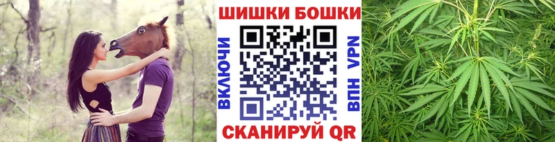Бошки Шишки Amnesia  купить наркотики цена  shop телеграм  Шатура 